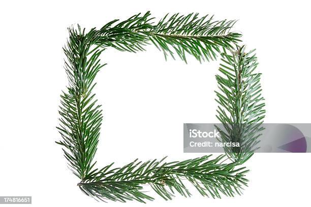 Fir Tree Branches Forming A Frame Stock Photo - Download Image Now - Border - Frame, Branch - Plant Part, Cut Out