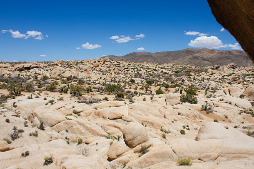 Overview of Arch Rock Trail in Joshua Tree National Park, California, USA.