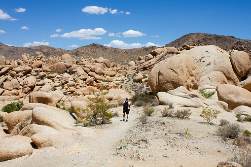 Man stands in front of rocks and boulders formation on Arch Rock Trail, Joshua Tree National PArk, Califronia, United States.