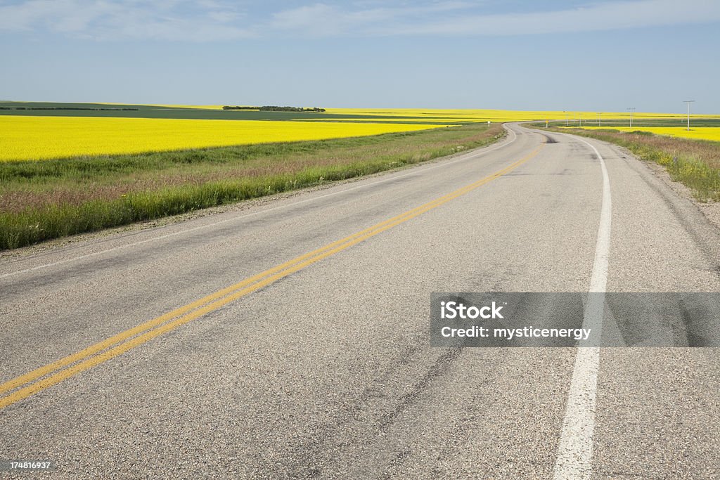 Prairie Road - Foto de stock de Vía libre de derechos