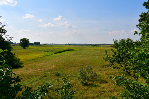 A view of a vast field, pastureland or meadow overgrown with herbs and grass located next to a lush forest or moor seen on a cloudy yet warm summer day on a Polish countryside