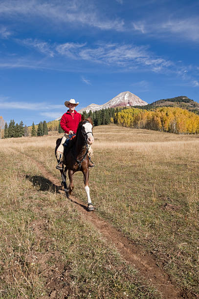 istock rocky mountain horseback autumn landscape 174817049