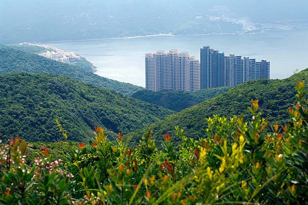 istock Condos on Hong Kong Island 174817104