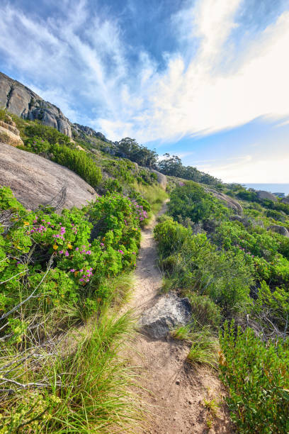 Mountain trails and roads around Cape Town, Mountain National Park, Cape Town, South Africa