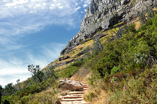 Mountain trails on Lion's Head, Table Mountain National Park, Cape Town, South Africa