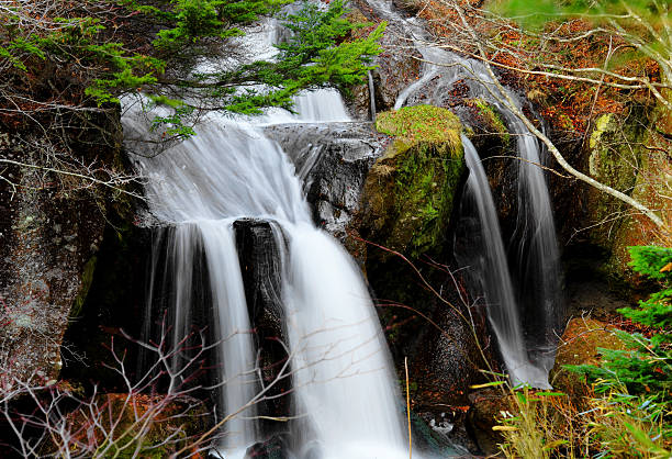 cascata in giappone - water beauty in nature waterfall nikko foto e immagini stock