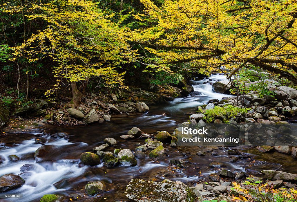 Río de montaña en otoño - Foto de stock de Carolina del Norte - Estado de los EE. UU. libre de derechos