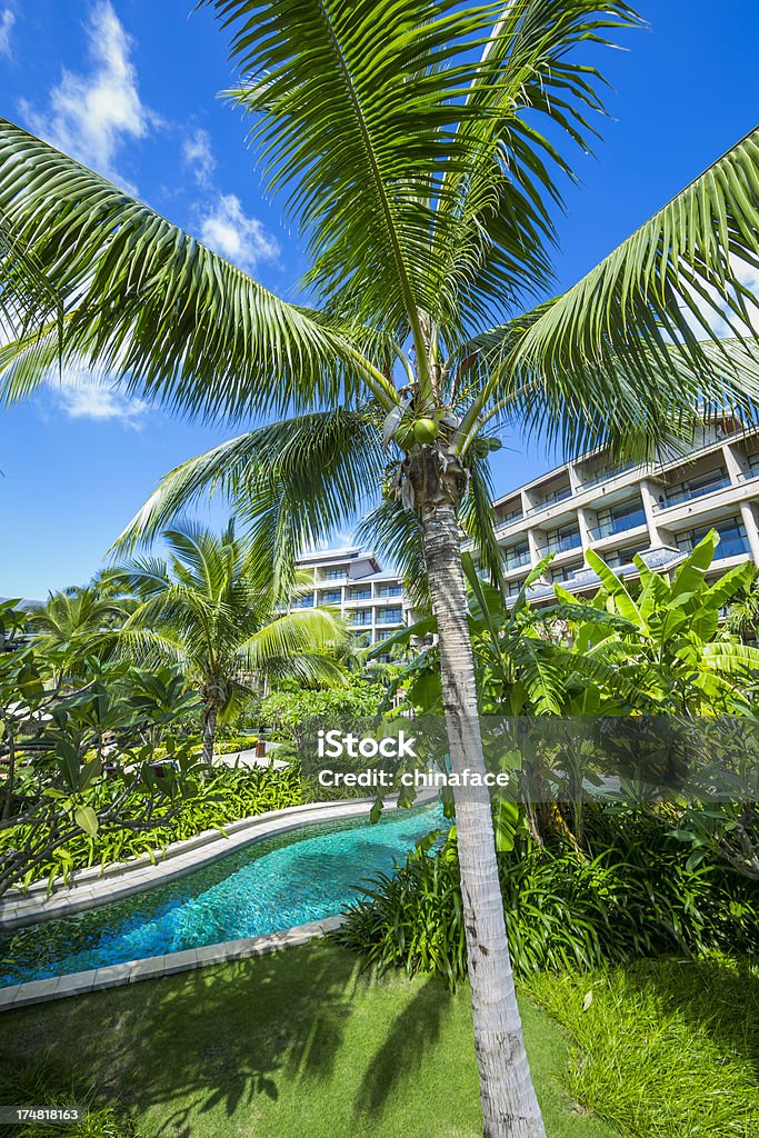 Jardín Tropical - Foto de stock de Aire libre libre de derechos