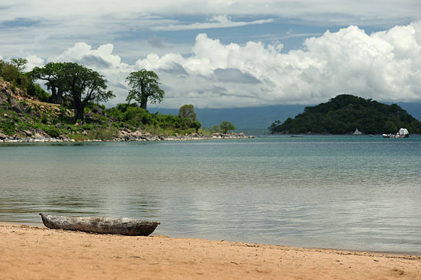 Lake Malawi beach and baobab trees stock photo