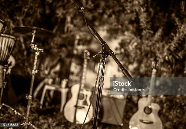Musical Instruments Stock Photo - Download Image Now - Acoustic Guitar, Acoustic Music, Arts Culture and Entertainment