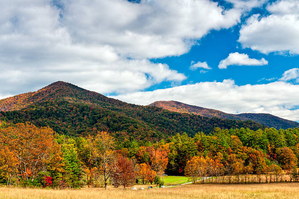 cades cove, montanhas great smoky, gatlinburg, tennessee, eua - cades imagens e fotografias de stock