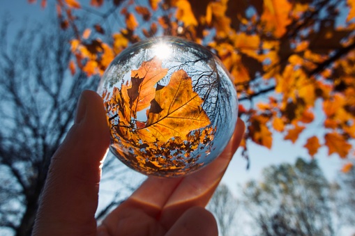 Crystal ball and trees during autumn