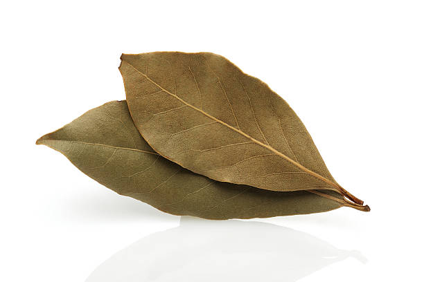 getrocknete bay leaf - laurel bay leaf leav stock-fotos und bilder