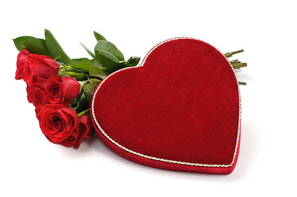 geschenk zum valentinstag - dozen roses stock-fotos und bilder