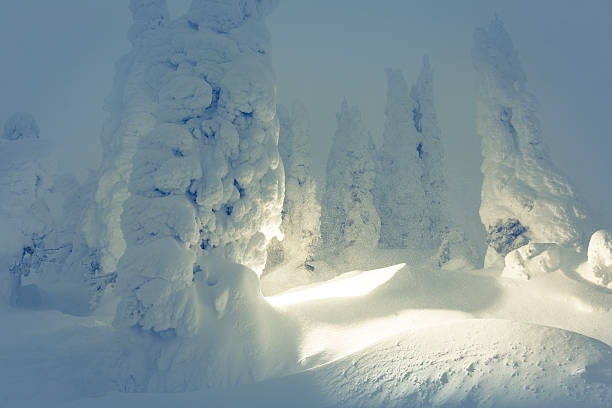 merveilles d'hiver land - ethereal powder snow flash cross processed photos et images de collection