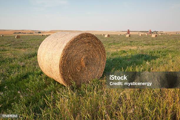 Silo - Fotografie stock e altre immagini di Agricoltura - Agricoltura, Ambientazione esterna, America del Nord