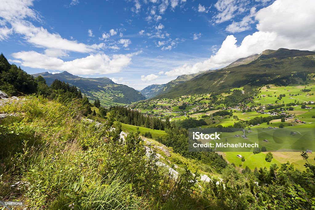 Grindelwald, Alpes suíços - Foto de stock de Aldeia royalty-free