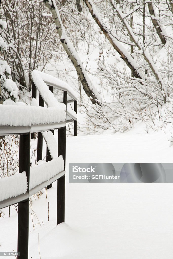 Coberta de neve caminho - Foto de stock de Alberta royalty-free
