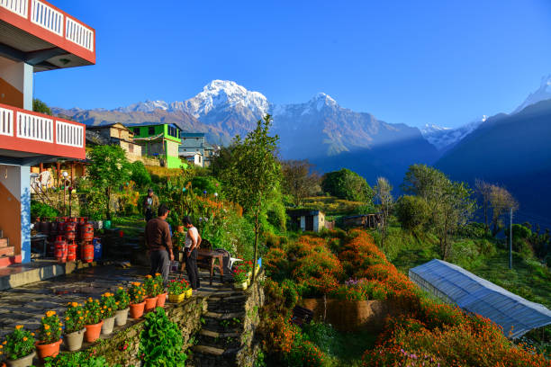 Ghandruk, Nepal - Oct 21, 2017. A beautiful teahouse on the hill at sunrise in Ghandruk, Nepal. Ghandruk is a popular place for treks in the Annapurna range of Nepal.