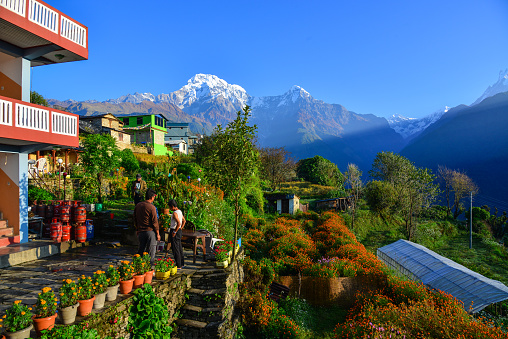 Ghandruk, Nepal - Oct 21, 2017. A beautiful teahouse on the hill at sunrise in Ghandruk, Nepal. Ghandruk is a popular place for treks in the Annapurna range of Nepal.
