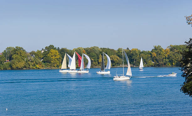 istock sailboats in a line 174820117