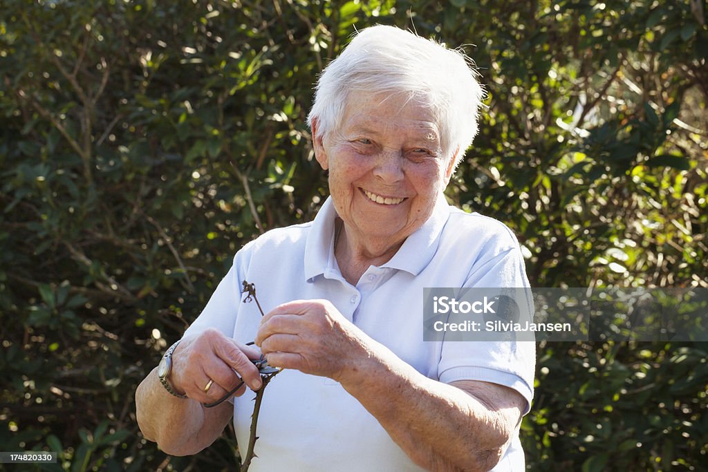 Glückliche senior Frau Gartenbau - Lizenzfrei 80-89 Jahre Stock-Foto