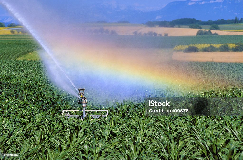 Farm Équipement d'irrigation - Photo de Arc en ciel libre de droits