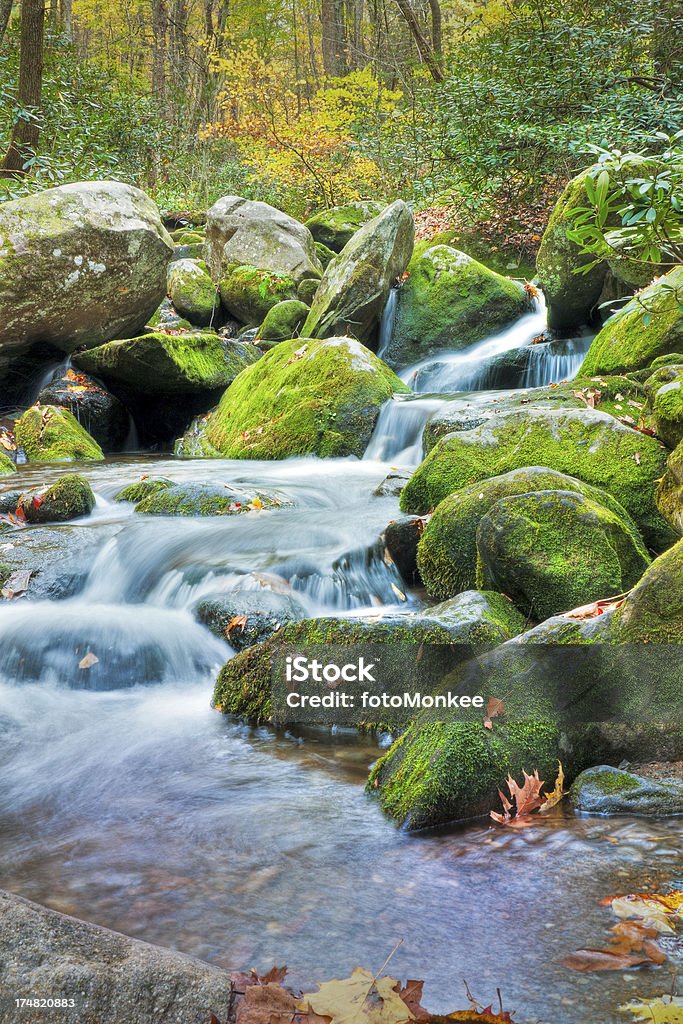 Cascate, Roaring Fork, Great Smoky Mountains, Gatlinburg, Tennessee, Stati Uniti - Foto stock royalty-free di Acqua