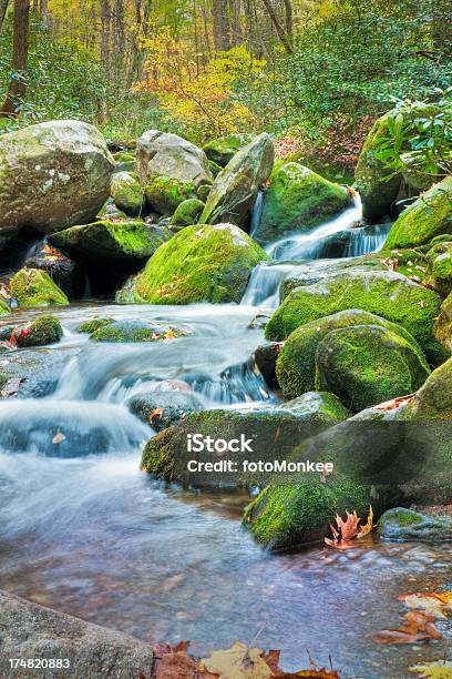 Cascate Roaring Fork Great Smoky Mountains Gatlinburg Tennessee Stati Uniti - Fotografie stock e altre immagini di Acqua