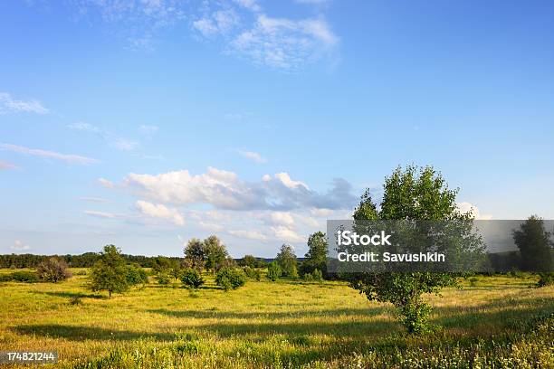 Paisaje Foto de stock y más banco de imágenes de Agricultura - Agricultura, Belleza de la naturaleza, Cielo