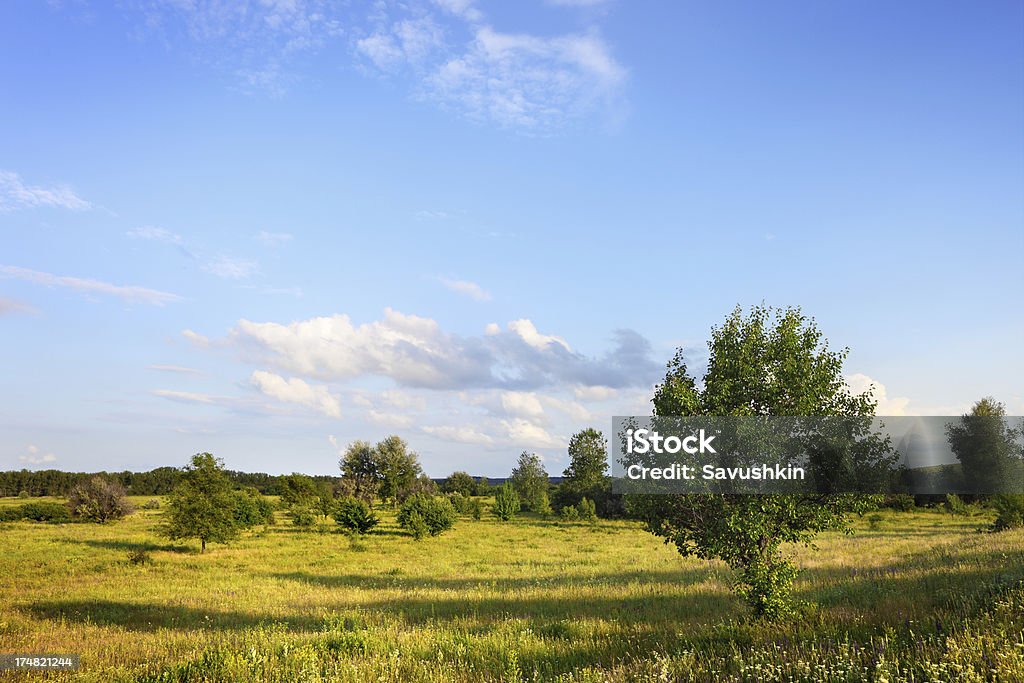 paesaggio - Foto stock royalty-free di Agricoltura