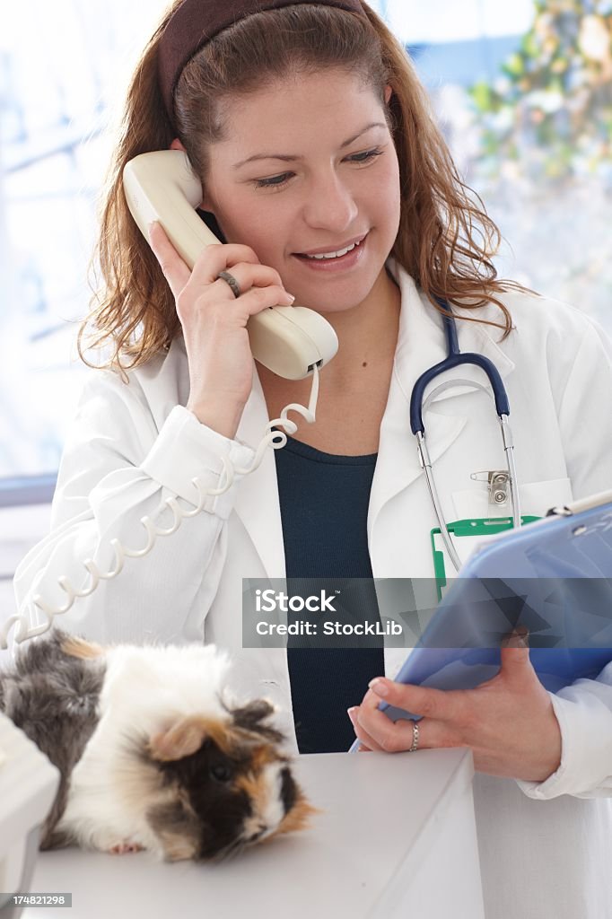 獣医回答ペットの飼い主お電話で - 獣医のロイヤリティフリーストックフォト