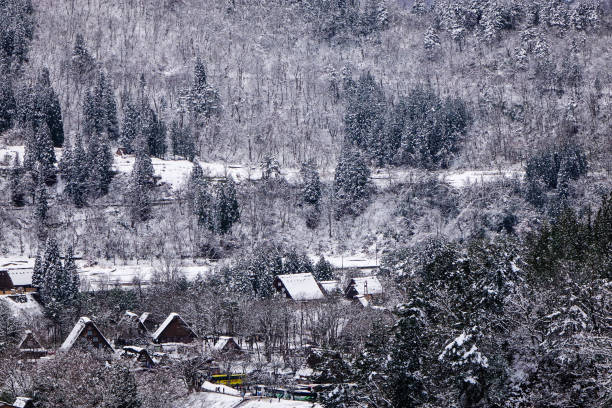 Ancient township with pine tree forest at the winter.