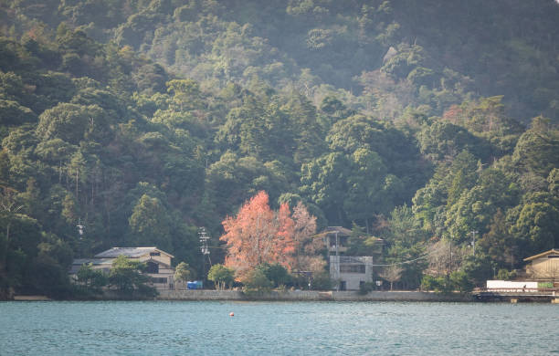 istock Seascape with forest in Hiroshima, Japan 1748214033