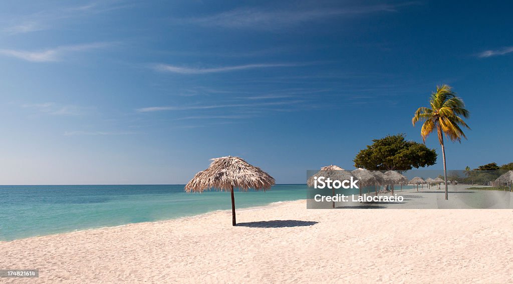 La playa - Foto de stock de Islas Caimán libre de derechos