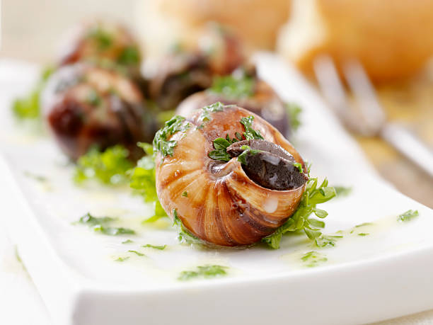 caracol - escargot snail seafood freshness imagens e fotografias de stock