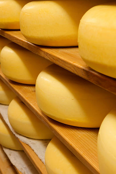 istock cheeses on the shelves at a dairy farm 174821688