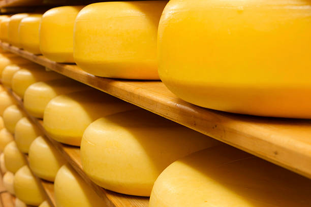 istock cheeses on the shelves at a dairy farm 174821691