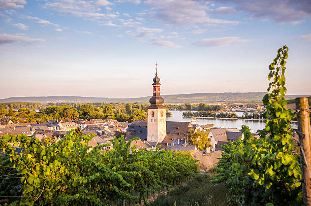 The village of Ruedesheim in Germany City of Rudesheim in Germany before the sundown rhine river photos stock pictures, royalty-free photos & images