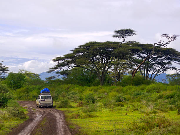 chamo でも - africa rain east africa ethiopia ストックフォトと画像