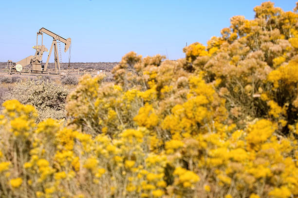 paysage tour de forage - oil industry industry new mexico oil drill photos et images de collection