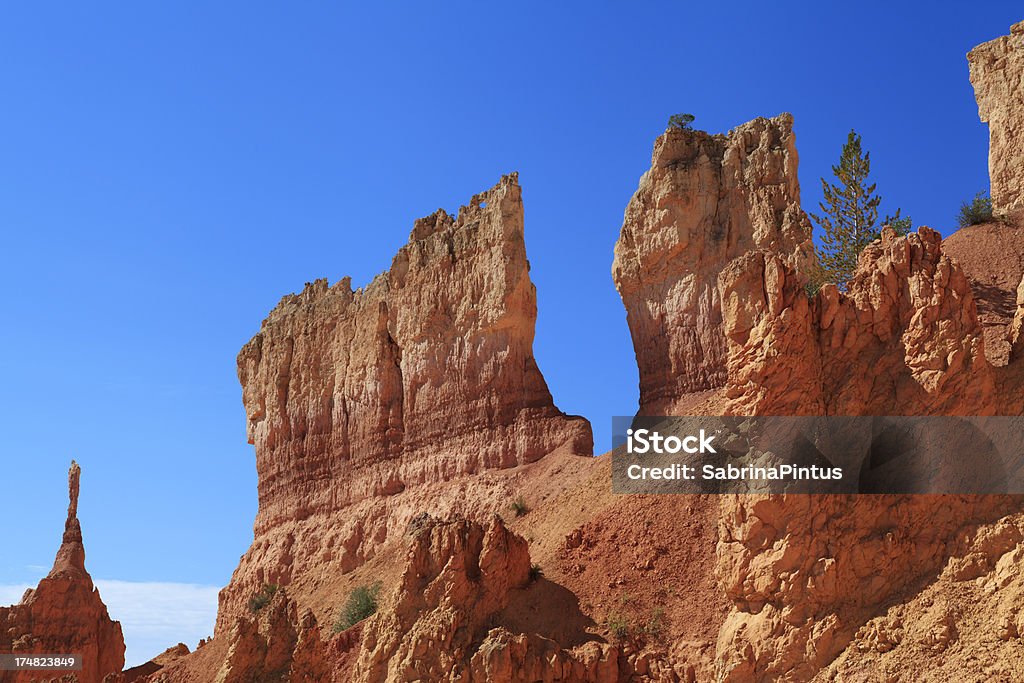 Bryce Canyon National Park. Utah, USA - Lizenzfrei Baum Stock-Foto
