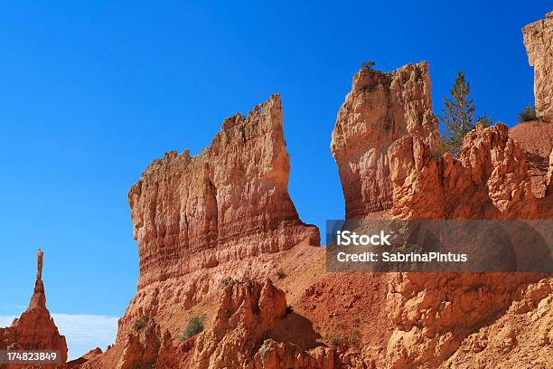 Bryce Canyon National Park Utah Usa Stockfoto und mehr Bilder von Baum - Baum, Berg, Berggipfel