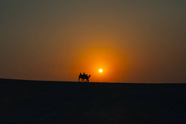 도하 사막의 일몰 낙타 캐러밴 사진, 도하 카타르 - dubai united arab emirates traditional culture camel 뉴스 사진 이미지