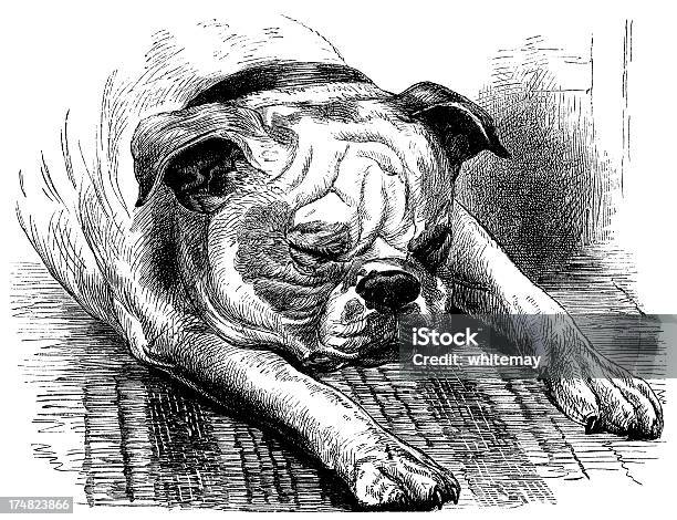 Sleeping Bulldog Stock Illustration - Download Image Now - Dog, Lying Down, 1850-1859