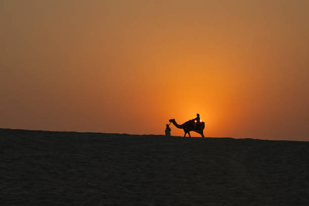 istock Camel Caravan at Sunset in the Doha Desert Photo, Doha Qatar 1748239629