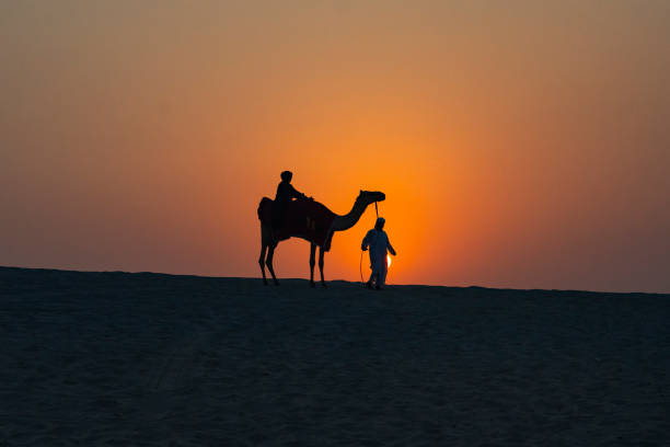 도하 사막의 일몰 낙타 캐러밴 사진, 도하 카타르 - dubai united arab emirates traditional culture camel 뉴스 사진 이미지