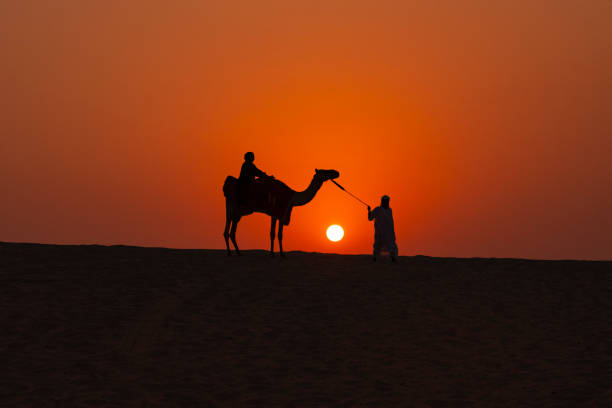 caravana de camellos al atardecer en la foto del desierto de doha, doha, qatar - white desert fotografías e imágenes de stock