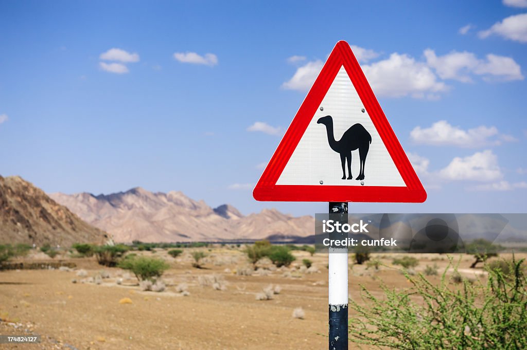 Camel-Schild - Lizenzfrei Anweisungen - Konzepte Stock-Foto