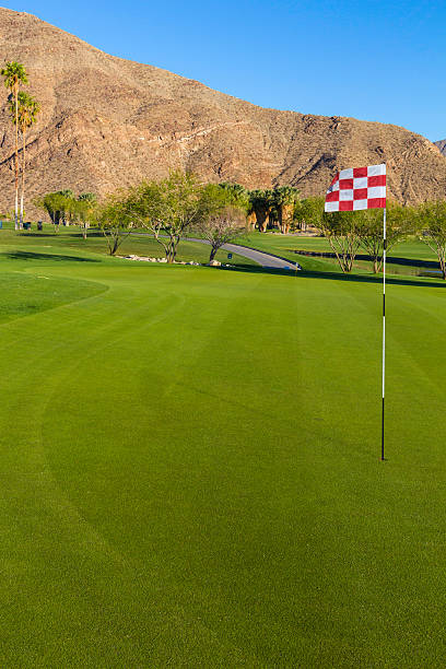 поле для гольфа, расположенных в палм-спрингс, (p) - lawn desert golf california стоковые фото и изображения